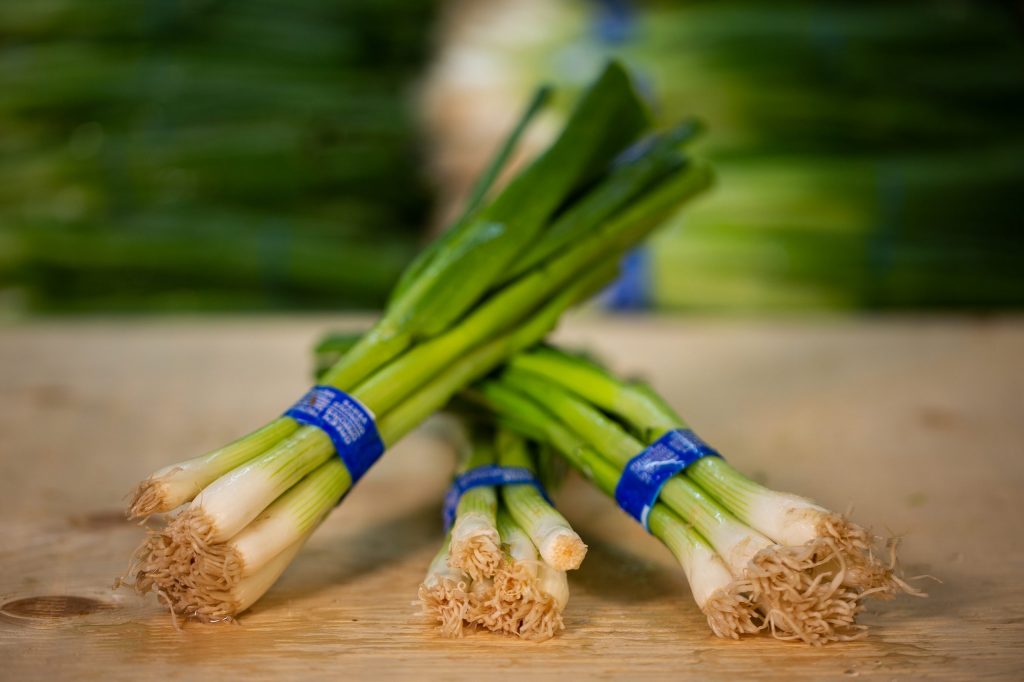 oignons-verts