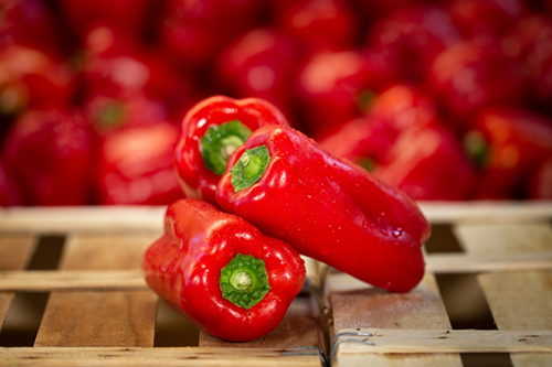 poivron-rouge